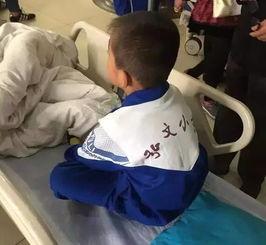 石家庄食堂爆料最新消息,食品安全问题引发关注 第3张 石家庄食堂爆料最新消息,食品安全问题引发关注 第3张